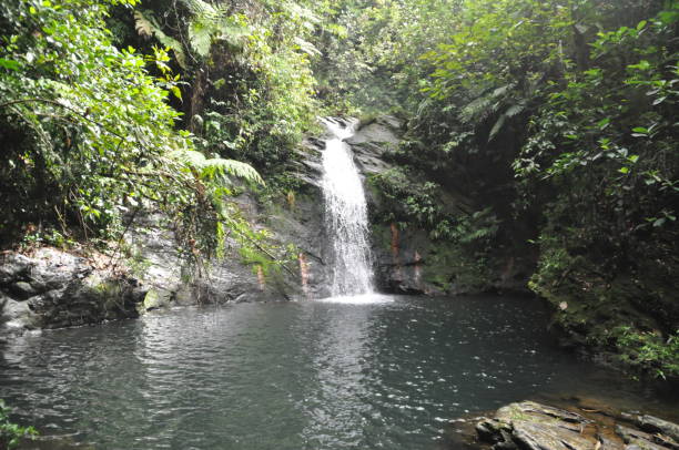 istock Water fall in the Cockscomb Basin Wildlife Sanctuary in Belize. 1340041426