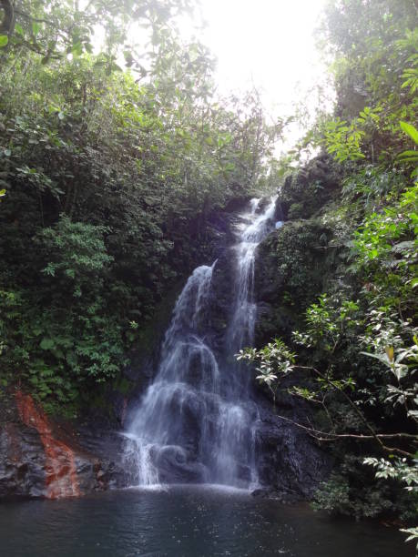 istock Water fall in the jungle of Guatemala. 1340041439