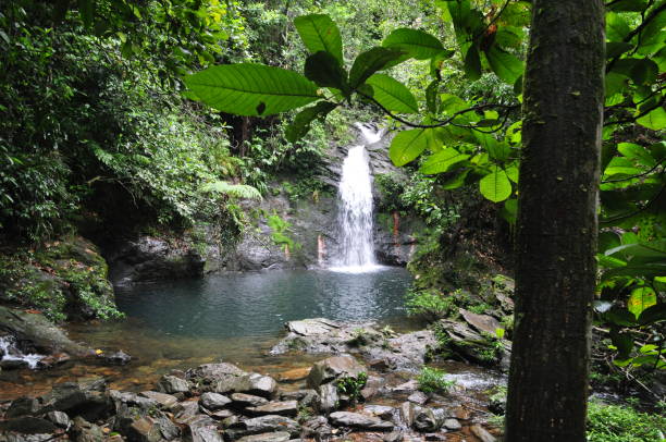 istock Water fall in the Cockscomb Basin Wildlife Sanctuary in Belize. 1340041443