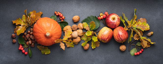 Autumn Thanksgiving background with pumpkin, apples, nuts and bright leaves. Dark background, top view