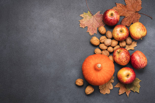 istock Autumn vegetables and fruits on black background 1340042730