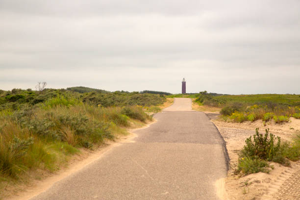 istock Cycling way on top of sand dunes 1340043217