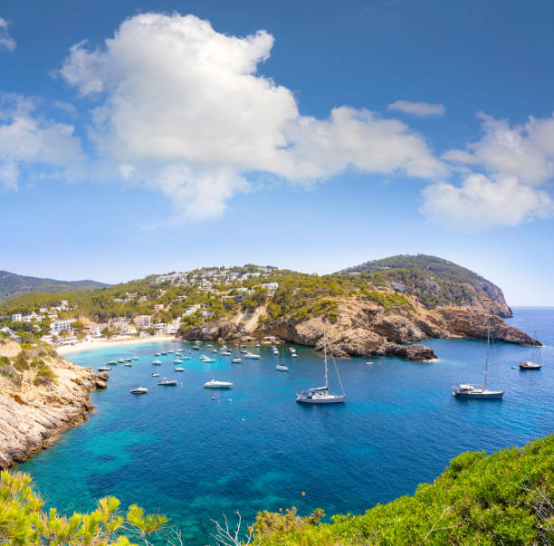 istock Ibiza Cala Vadella alse Vedella beach 1340043740