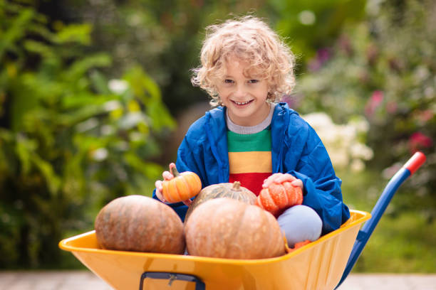 kids on pumpkin patch. child autumn outdoor fun. - 24252 imagens e fotografias de stock