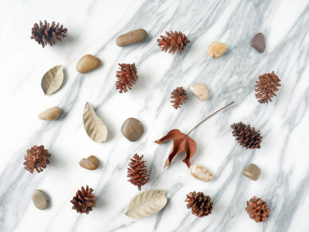 istock Autumn background isolated on a white marble 1340049256