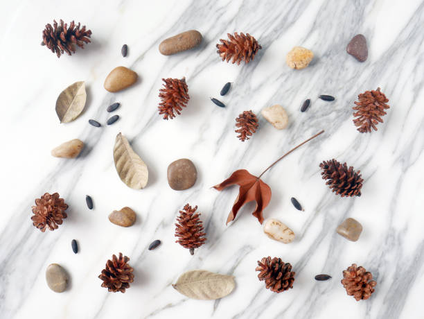 istock Autumn background isolated on a white marble 1340049425