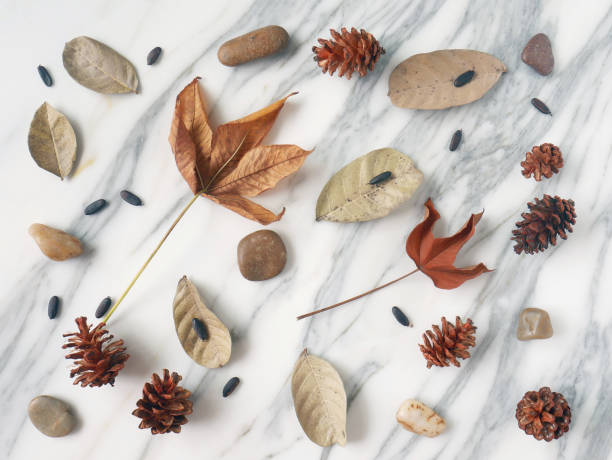 istock Autumn background isolated on a white marble 1340049432