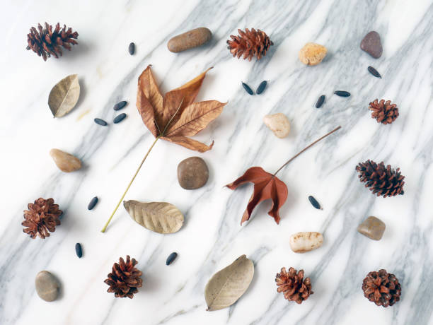 istock Autumn background isolated on a white marble 1340049434