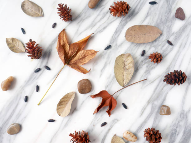 istock Autumn background isolated on a white marble 1340049439