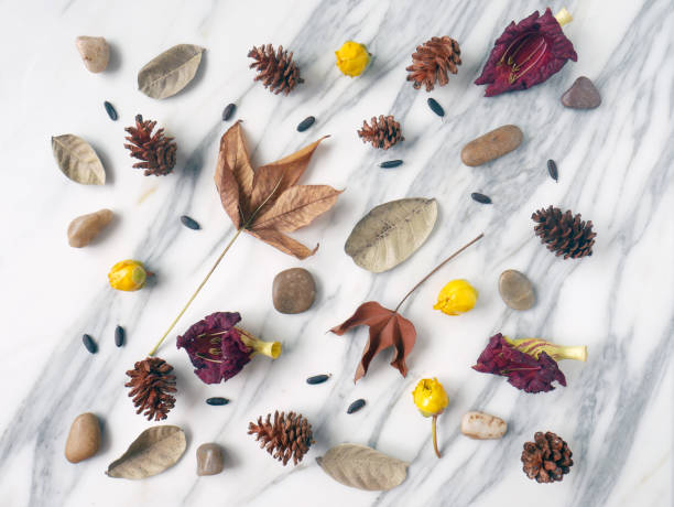 istock Autumn background isolated on a white marble 1340049631