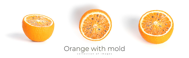 Orange with mold isolated on a white background. High quality photo