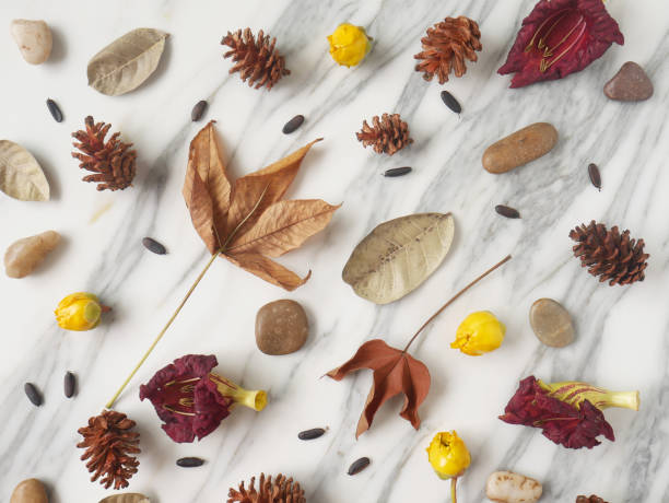 istock Autumn background isolated on a white marble 1340049699