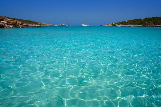 Ibiza Portinatx Arenal Petit beach in Balearics Ibiza Portinatx Arenal Petit beach in Balearic Islands of Spain balearics stock pictures, royalty-free photos & images