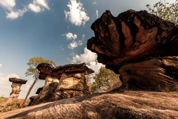 paesaggio di rocce a fungo su un antico altopiano. - canyon plateau large majestic foto e immagini stock