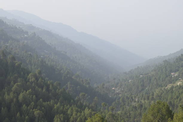 istock Valley of mountains 1340051346