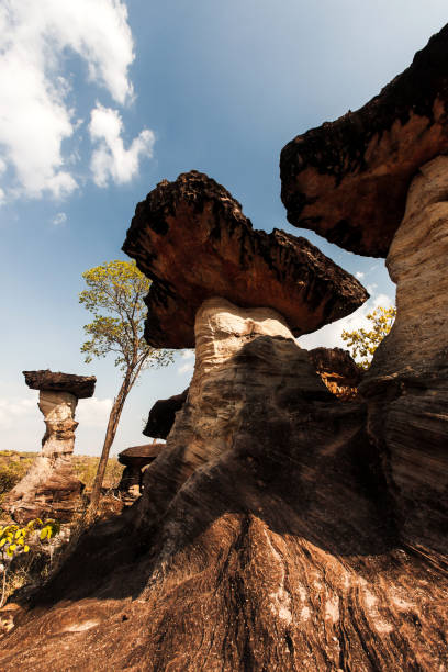 paesaggio di rocce a fungo su un antico altopiano. - canyon plateau large majestic foto e immagini stock