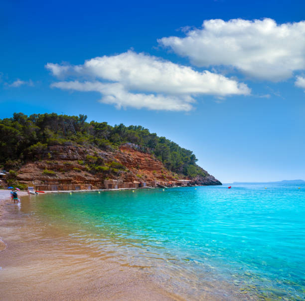 istock Ibiza Cala Salada and Saladeta in Balearics 1340051598