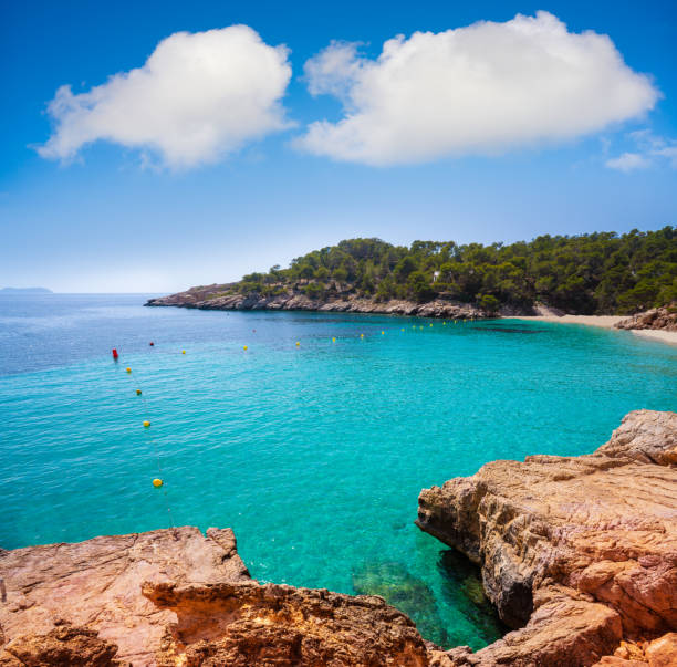 istock Ibiza Cala Salada and Saladeta in Balearics 1340051736