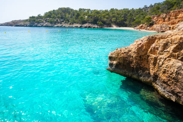 Ibiza Cala Salada and Saladeta in Balearics Ibiza Cala Salada and Saladeta in Balearic Islands of spain balearics stock pictures, royalty-free photos & images