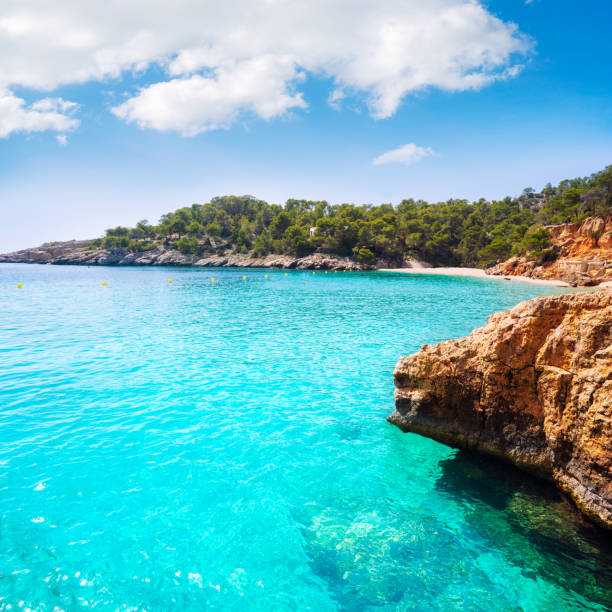 istock Ibiza Cala Salada and Saladeta in Balearics 1340051780