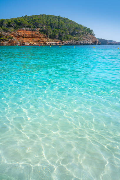 istock Ibiza Cala Salada and Saladeta in Balearics 1340052845
