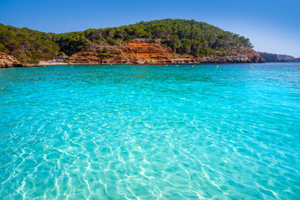 istock Ibiza Cala Salada and Saladeta in Balearics 1340052875