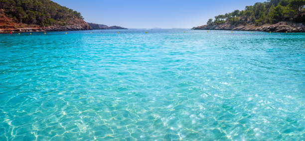 istock Ibiza Cala Salada and Saladeta in Balearics 1340052964