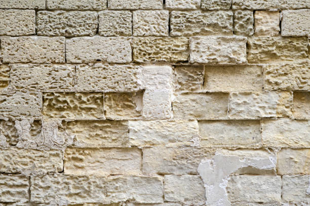 Close-up on a sandstone wall.