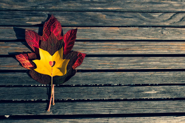 istock Red and yellow maple leaves on a wooden bench 1340054441