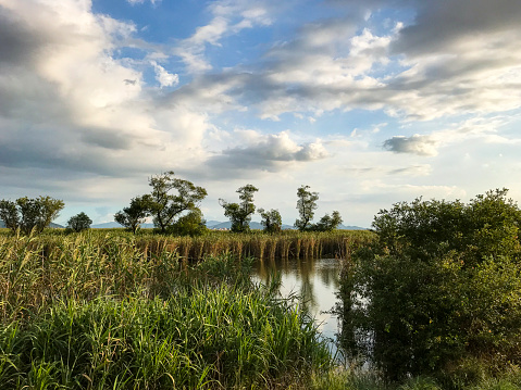 A creek srrounded by reeds under a dynamic sky.