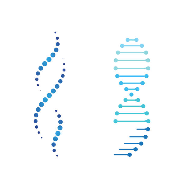 Medical DNA Vector icon design illustration Medical DNA Vector icon design illustration Template legacy concept stock illustrations
