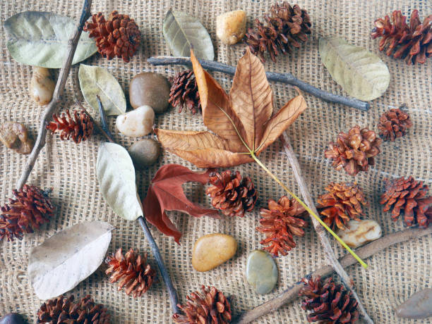 istock Autumn background isolated on a white marble 1340058659