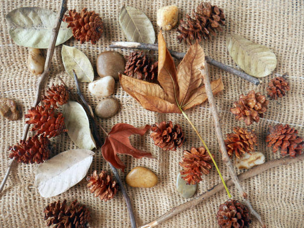 istock Autumn background isolated on a white marble 1340058892