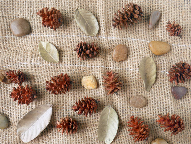 istock Autumn background isolated on a white marble 1340058899