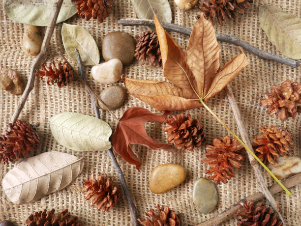 istock Autumn background isolated on a white marble 1340058927
