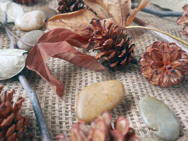 istock Autumn background isolated on a white marble 1340058999