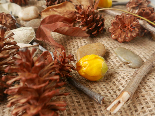 istock Autumn background isolated on a white marble 1340059571