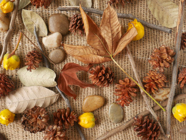 istock Autumn background isolated on a white marble 1340059587