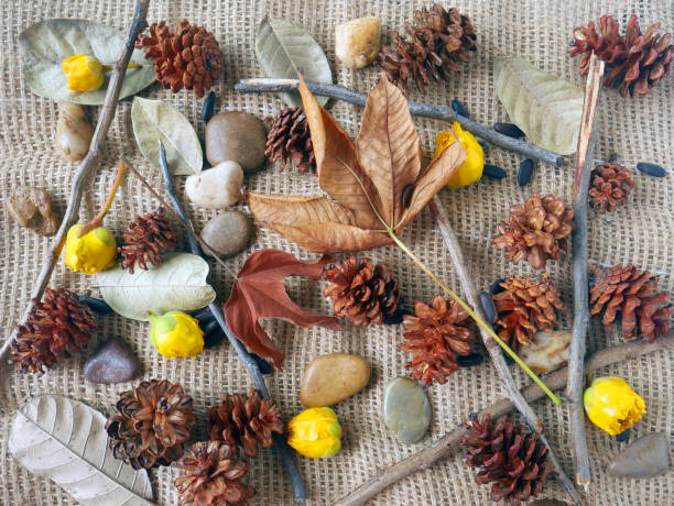 istock Autumn background isolated on a white marble 1340059622