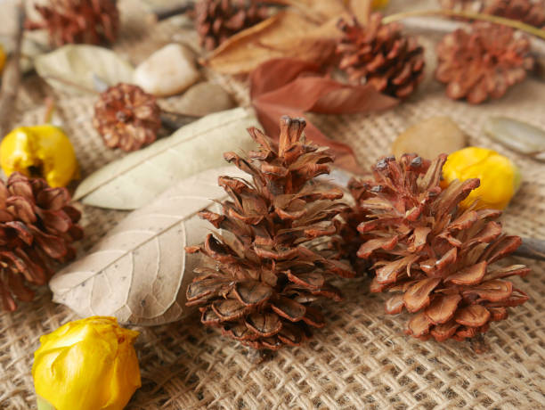 istock Autumn background isolated on a white marble 1340059695