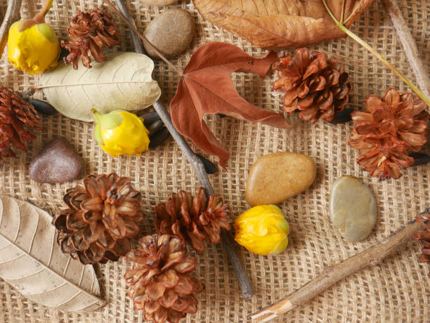 istock Autumn background isolated on a white marble 1340059710