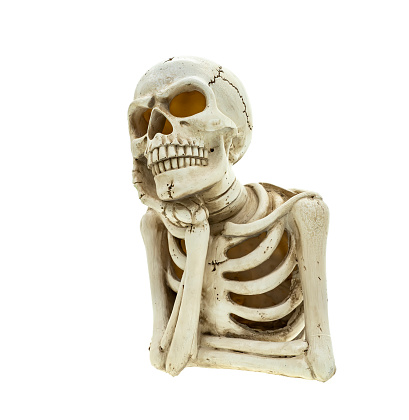 skull sitting and thinking isolated on white background