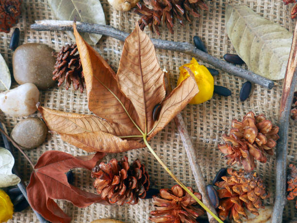 istock Autumn background isolated on a white marble 1340059751