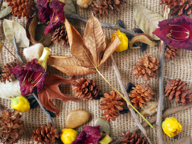 istock Autumn background isolated on a white marble 1340059863