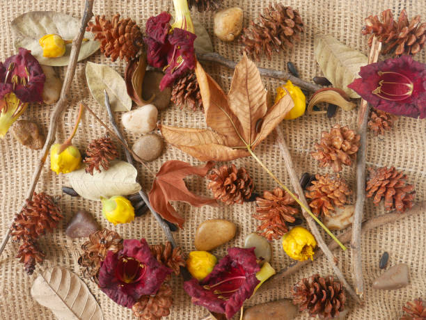 istock Autumn background isolated on a white marble 1340059972