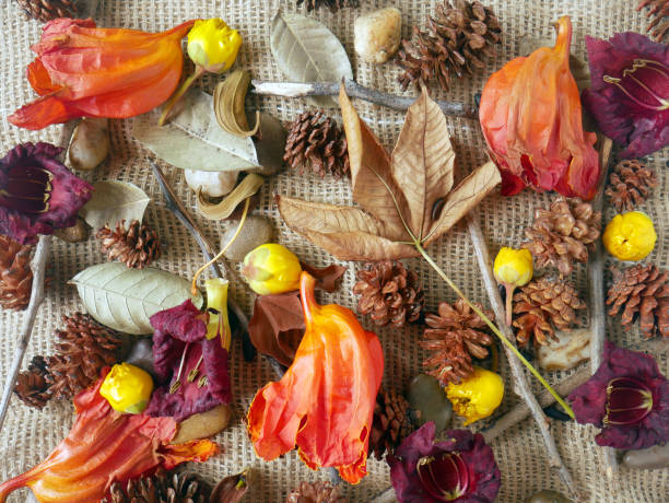 istock Autumn background isolated on a white marble 1340060119