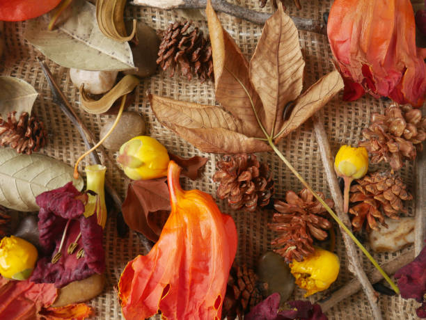 istock Autumn background isolated on a white marble 1340060180