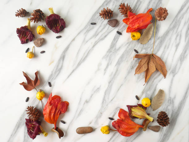 istock Autumn frame background isolated on a white marble with space for text 1340060242