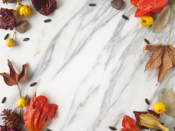 istock Autumn frame background isolated on a white marble with space for text 1340060264