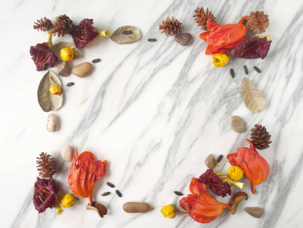 istock Autumn frame background isolated on a white marble with space for text 1340060271
